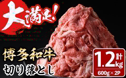大満足!博多和牛切り落とし(600g×2P・計1.2kg) 牛肉 黒毛和牛 国産 すき焼き しゃぶしゃぶ  肩 バラ 福岡県<離島配送不可>【ksg0404】【MEATPLUS】