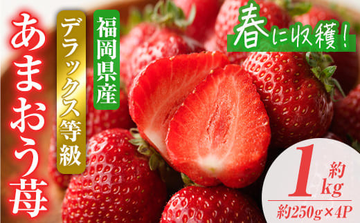 <先行予約受付中!2026年2月上旬~2026年3月末に順次発送予定>あまおうDX(デラックス)・春(計約1kg・約250g×4P)いちご 苺 フルーツ 果物 くだもの 福岡限定 家庭用 冷蔵 <離島配送不可>【ksg0473】【南国フルーツ】