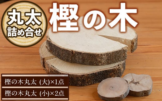 樫の木 丸太詰め合わせ(大1点・小2点) 木 樫 かし 丸太 鍋敷き 【ksg1432】【宮崎木材店】