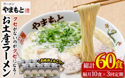 ＜定期便・全6回(隔月)＞お土産ラーメン 豚骨ラーメン(総量60食・10食×6回)とんこつ 豚骨 福岡 筑前ラーメン 常温 常温保存 定期便【ksg1443】【ラーメンやまもと春日本店】