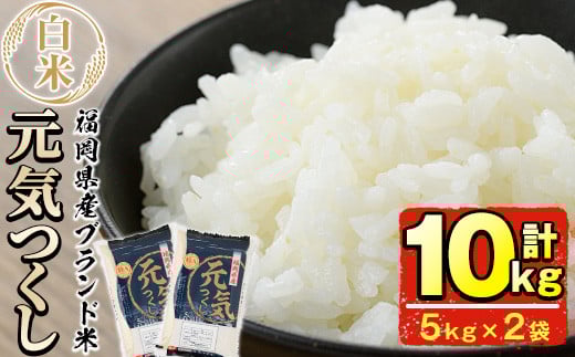 <先行予約受付中!2025年11月初旬から順次発送予定><令和7年産>福岡県産ブランド米「元気つくし」白米(計10kg・5kg×2袋)お米 10キロ ごはん ご飯【ksg0378】【朝ごはん本舗】