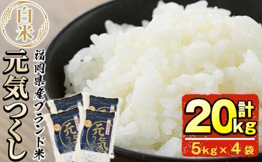 <先行予約受付中!2025年11月初旬から順次発送予定><令和7年産>福岡県産ブランド米「元気つくし」白米(計20kg・5kg×4袋)お米 20キロ ごはん ご飯 【ksg0380】【朝ごはん本舗】