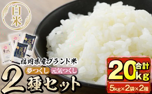 <先行予約受付中!2025年11月初旬から順次発送予定><令和7年産>福岡県産米食べ比べ<白米>「夢つくし」と「元気つくし」セット(合計20kg・5kg×4袋)お米 20キロ ごはん ご飯【ksg0382】【朝ごはん本舗】