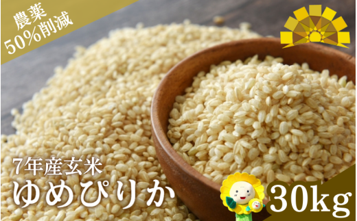 令和7年産 玄米 ゆめぴりか 新米 30kg / ごはん こめ 米 お米 北海道 北海道米 【kja400-yume-g30-R7】