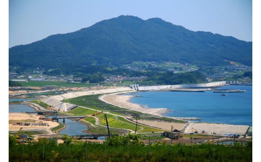 (6) 環境美化のための事業（公園、水辺、里山の保全など）