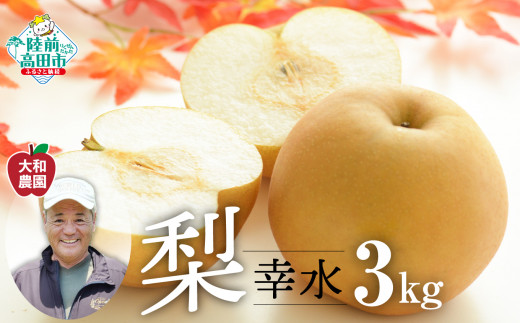 【先行予約】2026年９月頃から発送　梨 （幸水） 約 3kg RT2518