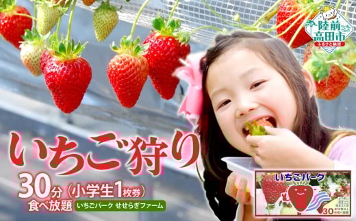 (小学生 1枚券)いちごパーク いちご狩り30分食べ放題チケット