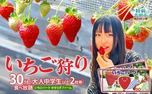 (大人中学生以上 2枚券)いちごパーク いちご狩り30分食べ放題ペアチケット