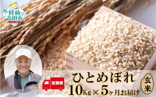 【5ヶ月定期便】 令和7年度産 新米 ひとめぼれ 玄米 50kg (10kg×5ヶ月定期便) 海の見える農園で作った玄米 【 米 お米 おにぎり おむすび お弁当 数量限定 産地直送 岩手県 陸前高田市 大和農園 】 RT3016-R7