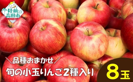 ★品種おまかせ★ 食べ比べが楽しい！ 旬の小玉りんご2種類 8個入り (家庭用) 【 りんご リンゴ 林檎 産地直送 訳あり セット 詰め合わせ ギフト 】 RT3027