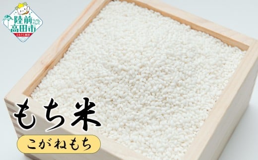 [先行予約] もち米 2kg 品種:こがねもち [ 餅 赤飯 おこわ おはぎ おしるこ 数量限定 岩手県産 マルキヨファーム ]2025年10月頃から発送予定