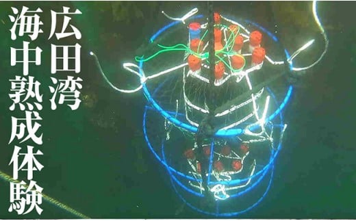 広田湾[海中熟成酒]体験1名様