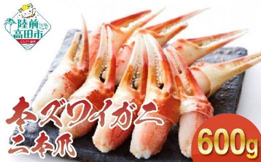 【本ズワイガニ】二本爪600g（300g×2パック）ずわいがに むき身 蟹 カニ 蟹爪 ズワイガニ ボイル 冷凍 RT1277