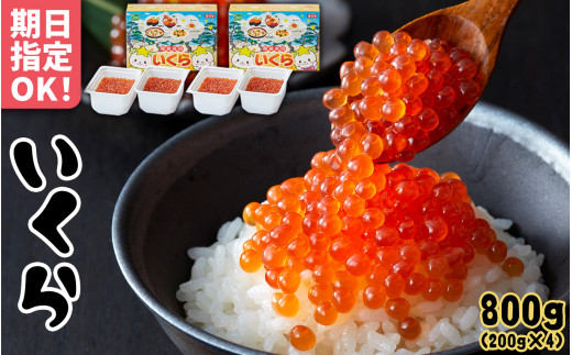 いくら醤油漬け 鱒卵 800g (200g×2パック×2箱) [ イクラ マスいくら 手巻き寿司 いくら醤油漬け 小分け 期日指定可 鱒 マス 鱒卵 海鮮 醤油漬け 鱒いくら 天然 冷凍 いくら ]RT1961