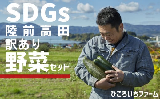 農家のおすそわけ（訳アリ）野菜便（お試し）【 農家 野菜詰め合わせ 野菜 詰め合わせ セット 訳あり 】 RT1890