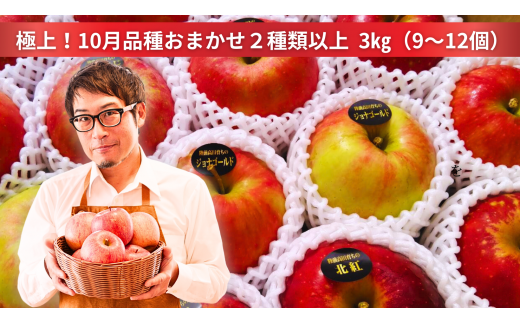 米崎りんご ぎゅっとセット 3kg 品種おまかせ 2種類以上お届け 【 リンゴ 旬 お届け 岩手 陸前高田 】 RT2058