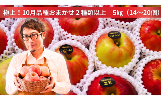 米崎りんご ぎゅっとセット 5kg 品種おまかせ 2種類以上お届け 【 りんご 旬 お届け 岩手 陸前高田 】 RT2059