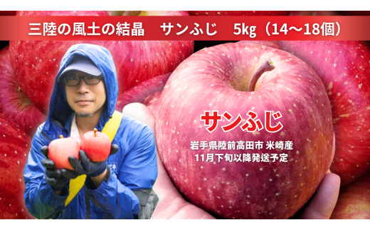 【先行予約】 三陸の風土の結晶 イドバダアップルのサンふじ 5kg 【 ふじ リンゴ 果物 フルーツ 旬 お届け 岩手 陸前高田 】 RT2061
