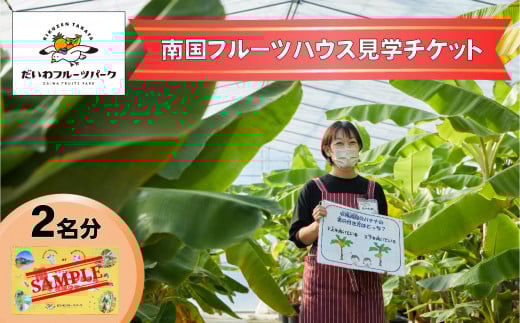 [現地で体験]岩手県陸前高田市で南国フルーツハウス見学 大人2名様分 濃厚スムージー付き [ 南国 フルーツ 見学 体験 果物 ] だいわフルーツパーク