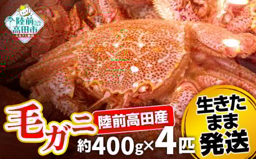 【毛ガニ 約400g×4匹】 陸前高田産 毛ガニ 生きたまま発送！ 【 かに カニ 魚介類 旬 鮮度抜群 産地直送 三陸産 】