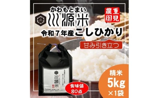 川源米 令和7年産こしひかり 出荷直前精米 5kg