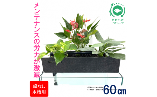 せせらぎビオトープ　60cm型ろ過装置・縁なし水槽用（※水槽はついていません）