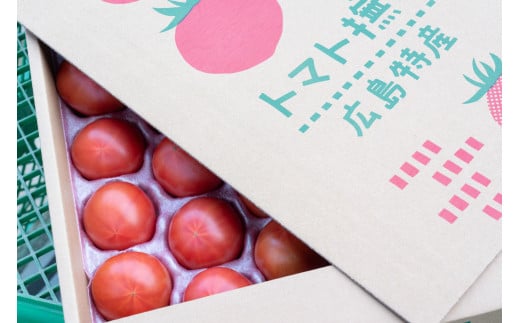 アグライズ トマト撫子 約4kg【配送時期:6月~12月】