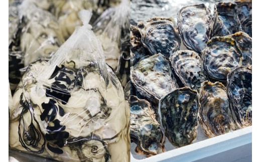 【予約商品】牡蠣 広島 むき身牡蠣1600g(800g×2)&殻付き牡蠣(5個~8個) 矢野水産【配送不可:離島】【配送時期:2026年1月上旬~2026年4月上旬】