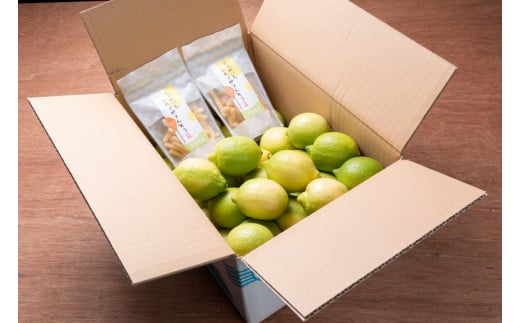 ワックス・防腐剤不使用の皮ごと使えるレモン4㎏とかりんとう2袋セット 【配送時期:9月上旬~4月下旬】
