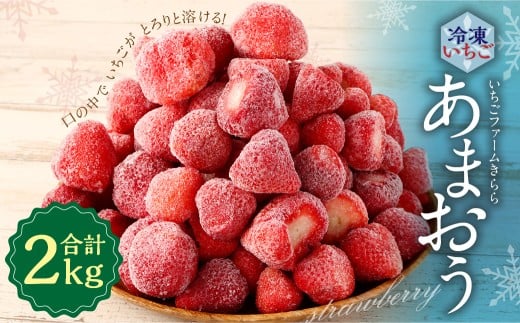 「いちごファームきらら」のあまおう冷凍いちご 2kg  いちご フルーツ あまおう 冷凍