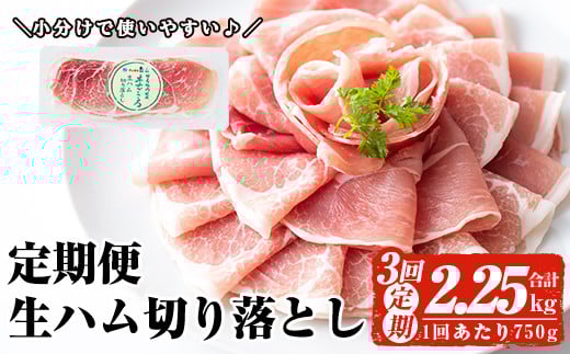 <定期便・全3回(連続)>鹿児島発!国産豚生ハム切り落とし(計2.25kg/計750g・75g×10P×3回) 生ハム おつまみ 小分け 【ナンチク】 T29