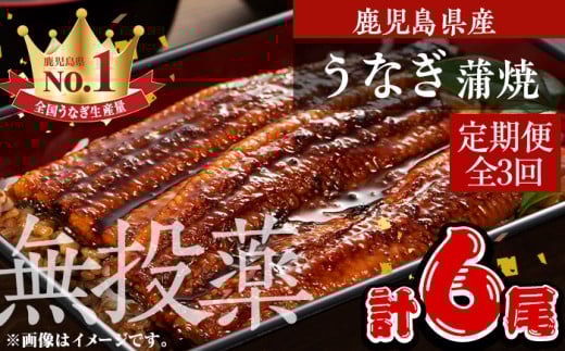 <定期便・全3回>鹿児島県産うなぎ蒲焼 (1尾あたり136g~155g×2尾×3回、タレ・山椒付き) 鰻 ウナギ 国産【西日本養鰻】T46