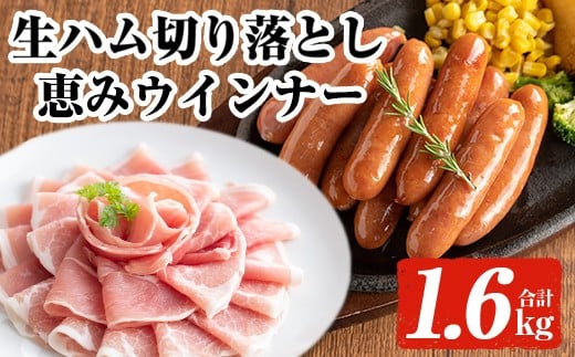 <2025年12月中に発送予定>国産豚生ハム切り落とし・業務用荒挽き恵みウインナー(合計1.6kg) 生ハム おつまみ 小分け 【ナンチク】A941-12
