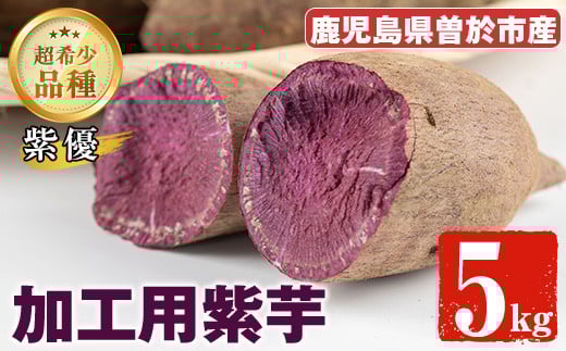 【数量限定】紫芋 加工用さつまいも紫優(5kg) 芋 さつまいも 紫芋【瀬崎農園】A418-v01