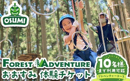 【アドベンチャーコース】フォレストアドベンチャー・おおすみ グループ体験チケット (最大10名様) 体験 アクティビティ チケット【フォレストアドベンチャー・おおすみ】 D48
