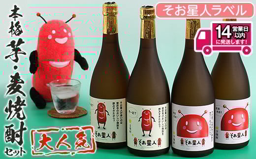 ＜2週間以内発送！＞【芋・麦焼酎セット】鹿児島曽於市の本格焼酎を飲み比べ そお星人の芋焼酎と麦焼酎セット 岩川醸造(720ml×4本) 芋焼酎 麦焼酎 飲み比べ【山元商店】A58-v01