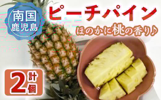 【数量限定】曽於のピーチパイン(計2個・約800g～1200g×2) 鹿児島県産 果物 フルーツ【大徳産業】A106-v02