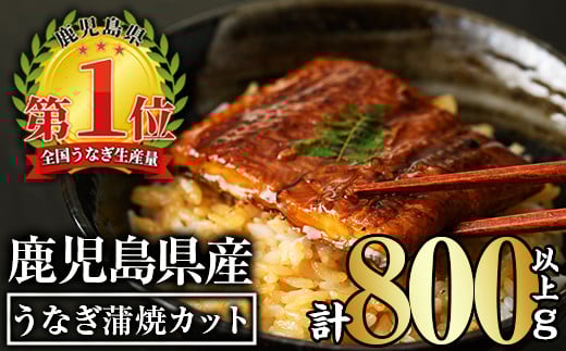 無投薬!鹿児島県産うなぎ蒲焼カット(計800g以上・約50g×15枚) タレ・山椒付き カット鰻 鰻 カット【西日本養鰻】B147-v02