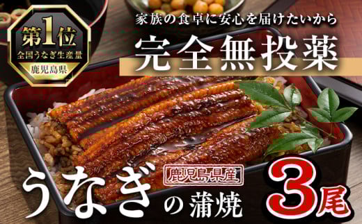 鹿児島県産うなぎ蒲焼 (1尾あたり136g~155g×3尾、タレ・山椒付き) 鰻 ウナギ うな重 ひつまぶし かばやき 九州産 国産 冷凍【西日本養鰻】A583