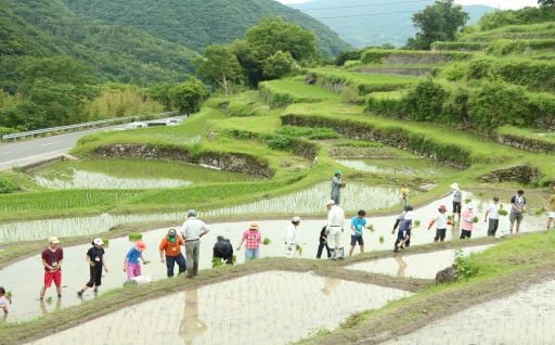 4 観光・産業のまちづくり（農林水産業、商工業、観光など）