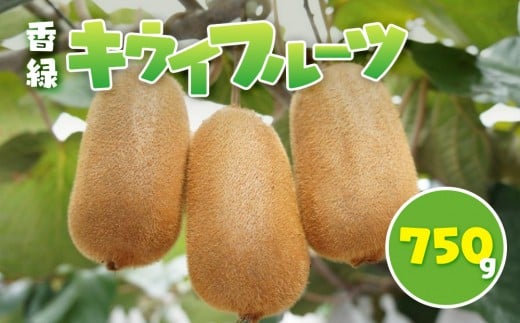香緑 キウイフルーツ 750g