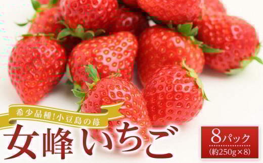 【2026年2月中旬より発送】希少品種!小豆島の苺「女峰」8パック(1パック約250g)