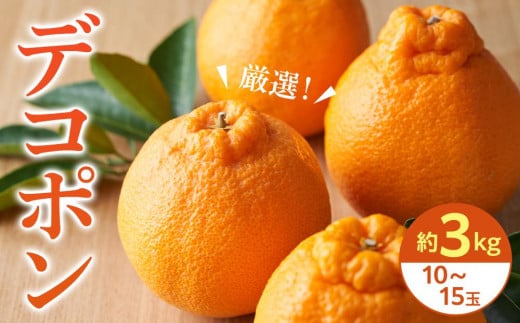 【2026年3月上旬より発送】厳選!濃厚甘味の「デコポン」約3kg