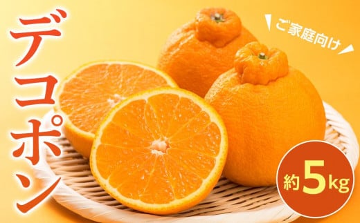 【2026年3月上旬より発送】ご家庭向け!濃厚甘味の「デコポン」約5kg