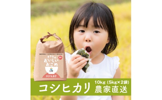 新米【定期便／3ヶ月 令和7年産】無洗米 コシヒカリ (10kg×3回) 稲敷市産 農家直送｜米 こめ コメ ごはん ご飯 [1734]