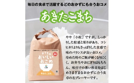 あきたこまち１０キロ　農家直送　送料込み　残りわずかです あきたこまち 米 お米 米10kg （5kg×2袋） 秋田県産 白米 精米