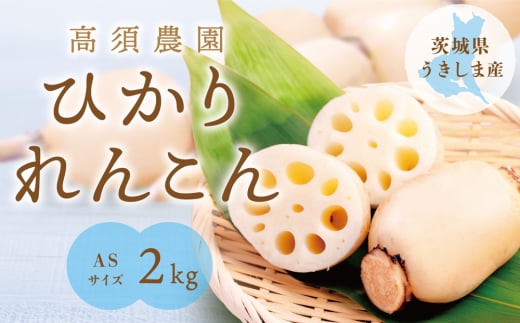 ひかりれんこん2kg (ASサイズ) 専用箱入｜れんこん レンコン 蓮根 根野菜 浮島れんこん [1743]