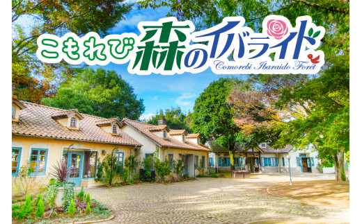 こもれび森のイバライド 入園招待券 2枚セット｜シルバニア 動物ふれあい牧場 作る体験ビレッジ バーベキュー 子供 ファミリー テーマパーク 入場券 入園券 [1057]