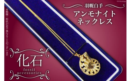 ネックレス レディース 化石 アンモナイト 婦人用ネックレス 1個 [加藤樹石苑 北海道 歌志内市 01227ai069] 婦人用 婦人 シンプル 大人