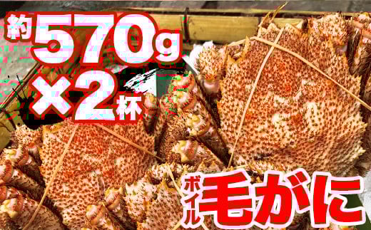 【訳あり】北海道産 冷凍ボイル毛がに（約570g×2杯）かに 蟹 かにみそ 小分け 毛蟹 海産物 魚介類 水産物応援 水産物支援 年内発送 NP1-316